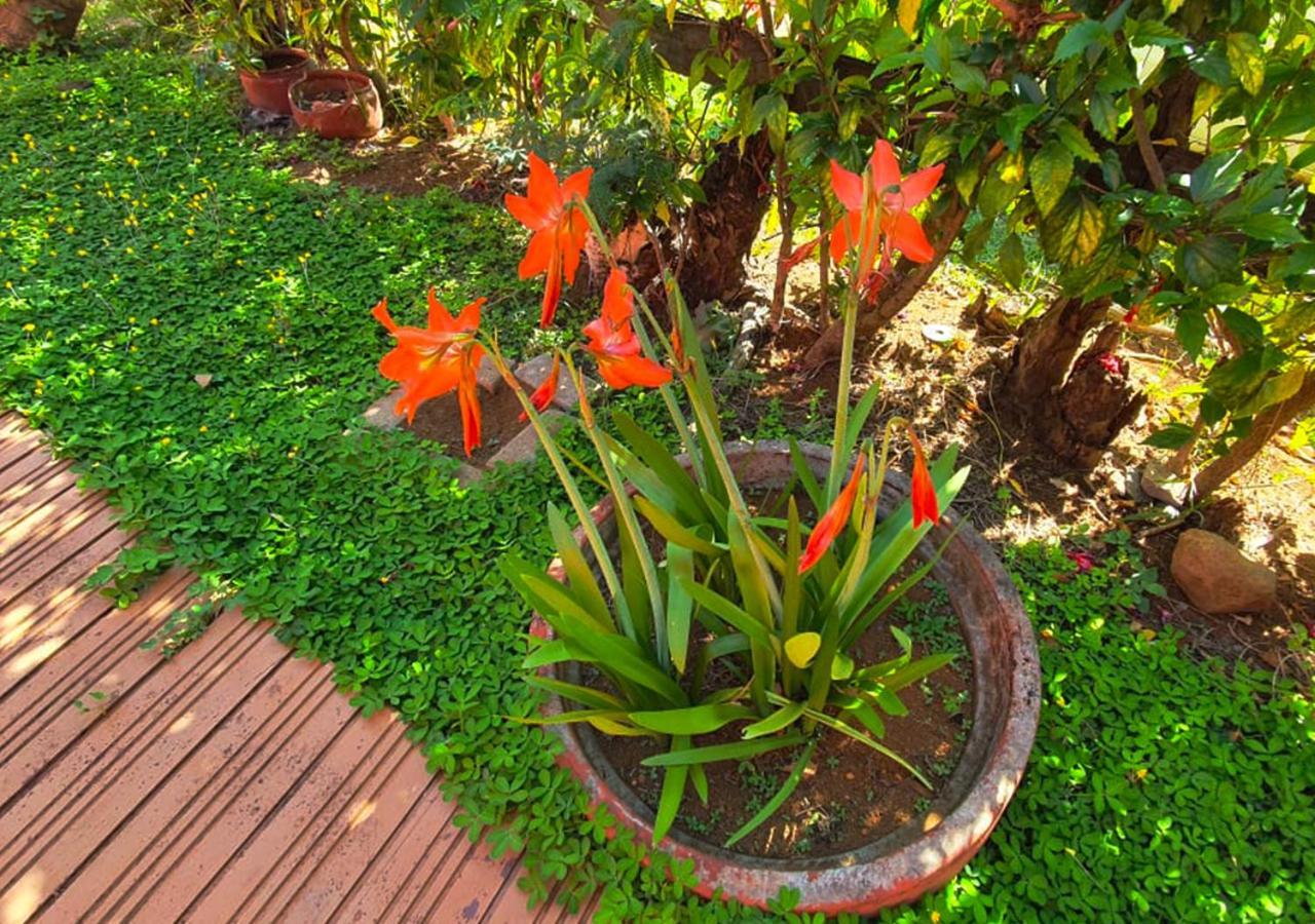 Pousada Das Ilhas Fernando de Noronha Ngoại thất bức ảnh