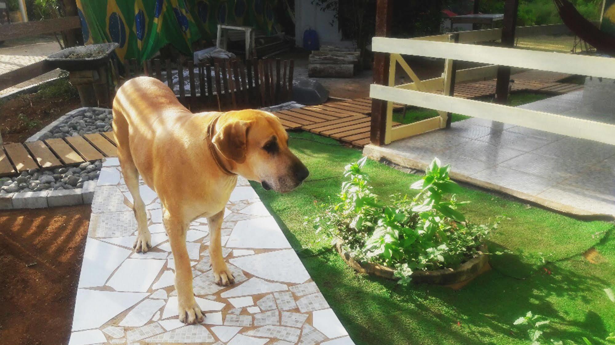 Pousada Das Ilhas Fernando de Noronha Ngoại thất bức ảnh